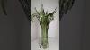 Canadian Art Glass Vase By Lorraine Part 1