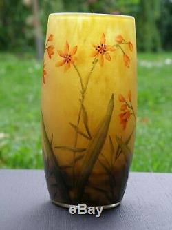 Daum Nancy Art Nouveau Splendid Cameo Vase Flowers Decor
