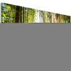 Forest Nature Acrylic Glass Wall Art Image Photo Print C-c-0177-k-n