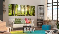 FOREST NATURE Acrylic Glass Wall Art Image Photo Print c-C-0177-k-n