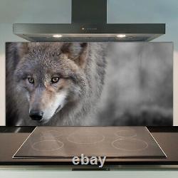 Glass Kitchen Splashback Tile Cooker Panel 100x50 Wild Wolf Portrait