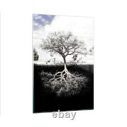 Glass Print 80x120cm Wall Art Picture Tree The Roots Reflection Large Artwork