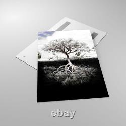 Glass Print 80x120cm Wall Art Picture Tree The Roots Reflection Large Artwork