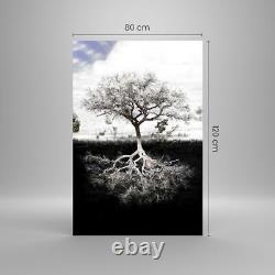 Glass Print 80x120cm Wall Art Picture Tree The Roots Reflection Large Artwork