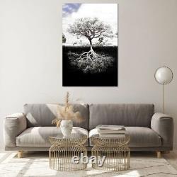 Glass Print 80x120cm Wall Art Picture Tree The Roots Reflection Large Artwork