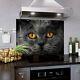 Glass Splashback Kitchen Tile Cooker Panel Any Size Cat Animal Photo Art 1103
