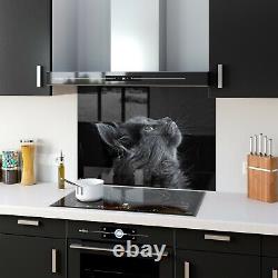 Glass Splashback Kitchen Tiles Cooker Panel ANY SIZE Cat Animal Photo Art Zoom