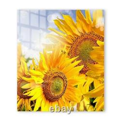 Kitchen Glass Splashback Toughened Tile Cooker ANY SIZE Sunflower Sky Macro Art