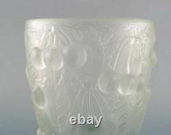 Lalique style art glass vase in clear glass with cherries in relief. 1930/40's