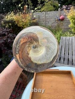 Large Hand Blown Studio Art Glass Attenuated Bottle Vase 46cm Agate Tiger