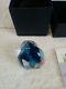Rare Medium Signed Correia 2013 Art Glass Paperweight Abstract Turquoise
