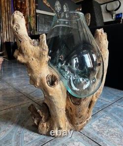 Root wood flower vase mangrove root decoration root wood glass vase height 60 cm