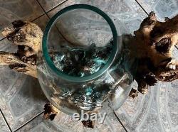 Root wood flower vase mangrove root decoration root wood glass vase height 60 cm