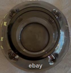 Superb Moser Glass and Enamel Painted Carp & Aquatic Plant Vase C. 1900 Czech