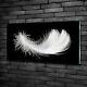 Tulup Glass Print Wall Art Image Picture 100x50cm Feather