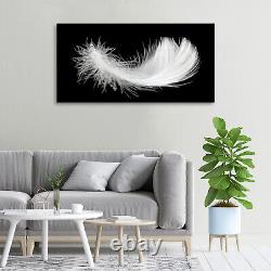 Tulup Glass Print Wall Art Image Picture 100x50cm Feather