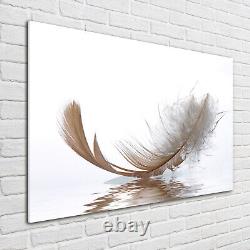 Tulup Glass Print Wall Art Image Picture 100x70cm Feather on the water