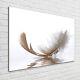 Tulup Glass Print Wall Art Image Picture 100x70cm Feather On The Water