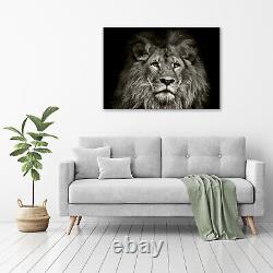 Tulup Glass Print Wall Art Image Picture 100x70cm Lion