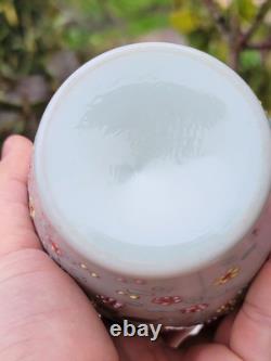 Victorian Enamelled Opaline Art Glass Vase c1885-1910 Attributed Thomas Webb