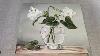 White Flowers In Glass Vase Acrylic Painting For Beginners