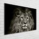 Impression D'art Mural En Verre Tulup Image Photo 100x70cm Lion