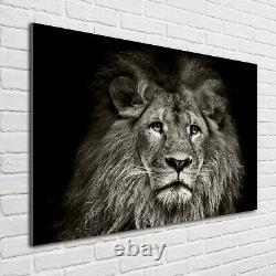 Impression d'art mural en verre Tulup Image Photo 100x70cm Lion
