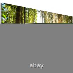 NATURE DE LA FORÊT Impression photo sur verre acrylique d'art mural c-C-0177-k-n