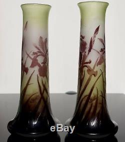 Paire Emile Galle Art Cameo Iris Vases
