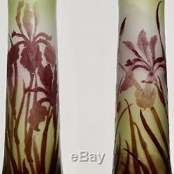 Paire Emile Galle Art Cameo Iris Vases