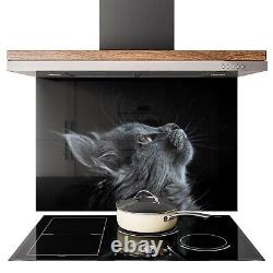 Panneau de cuisinière en tuiles de cuisine en verre, SPLASHBACK, photo d'art d'un chat, ZOOM, TOUTES TAILLES